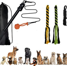 Produktbild von BYSURE Teleskop-Hundeangel Intelligenzspielzeug