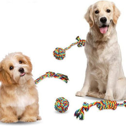 Produktbild von BYSURE Tier-Intelligenzspielzeug Hundespielzeugseil 4-teilig