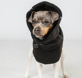 Back on Track Benji Nackenwärmer für Hunde aus Fleece Schwarz Größe S – Bild 1 von 8