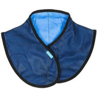 Produktbild von Back on Track Cool on Track KühlNackenbandage Blau Größe L