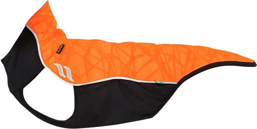Back on Track Eddie Hundepullover ohne Bügel Orange Klein - 1 Stk. – Bild 1 von 3