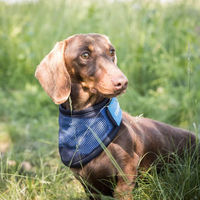 Produktbild von Back on Track Erfrischendes Hunde-Bandana Cooling Bandana Blau Größe L