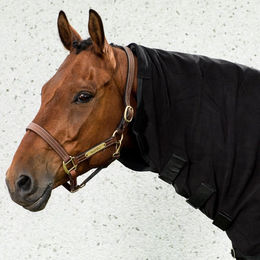 Produktbild von Back on Track Halsteil für Fleecedecke Supreme Schwarz