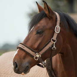 Back on Track Haze Collection Halfter aus Nylon für Warmblut in Grau Braun Silber – Bild 1 von 2