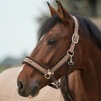 Produktbild von Back on Track Haze Collection Halfter aus Nylon für Warmblut in Grau Braun Silber