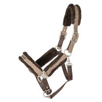 Produktbild von Back on Track Haze Collection Halfter für Ponys aus Nylon in Braun