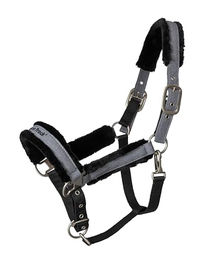 Back on Track Haze Collection Halfter für Ponys aus Nylon in Grau – Bild 1 von 3