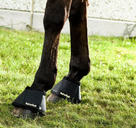Back on Track Hufglocken aus Neopren Schwarz Größe L – Bild 1 von 6