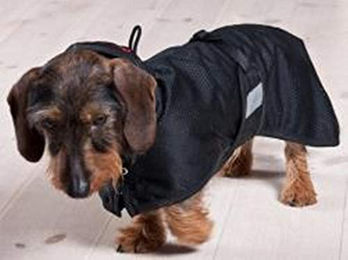 Produktbild von Back on Track Hunde Netzmantel Blau 70 cm - 1 Stk.