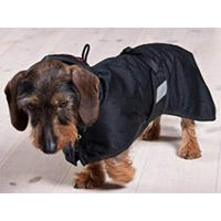 Produktbild von Back on Track Hunde Netzmantel Blau 70 cm - 1 Stk.
