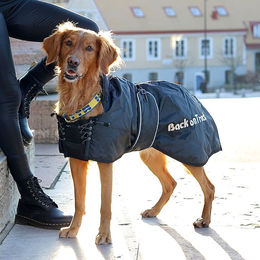 Produktbild von Back on Track Hunde Standardmantel aus Polyester wasserabweisend Schwarz
