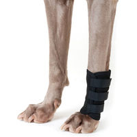 Produktbild von Back on Track Hundegelenkschoner aus Kunststoff Schwarz Größe L - 1 Stk.