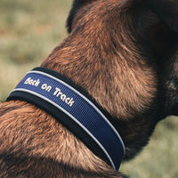 Produktbild von Back on Track Hundehalsband aus Nylon für erwachsene Hunde in Braun oder Blau Größe 55