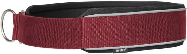 Back on Track Hundehalsband für Hunde Rot 35 cm – Bild 1 von 2