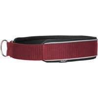 Produktbild von Back on Track Hundehalsband für Hunde Rot 35 cm