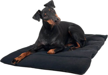 Produktbild von Back on Track Hundekissen Schwarz 50 x 68 cm aus Polyester