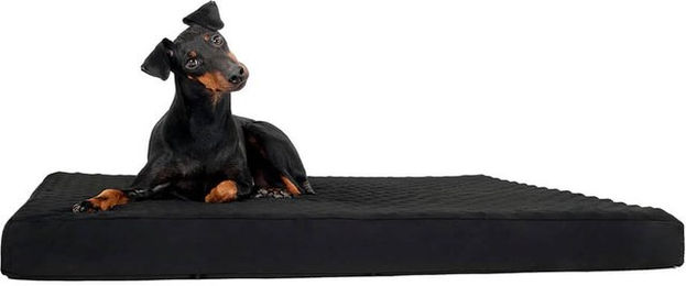Back on Track Hundematratze mit Memory Foam XS Schwarz für erwachsene Hunde – Bild 1 von 3