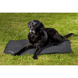 Back on Track Hundematte Cage Fit Schwarz aus Polyester – Bild 1 von 3