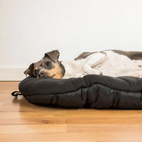 Produktbild von Back on Track Hundematte Schwarz 55 x 60 cm zur Unterstützung der Gelenke - 55 cm