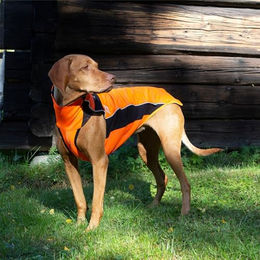 Back on Track Hundepullover Eddie reflektierend Orange 50 cm - 1 Stk. – Bild 1 von 5