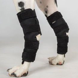 Back on Track Hundesprunggelenkschoner Style Dixie Schwarz Größe L aus 3D-Netzgewebe – Bild 1 von 3