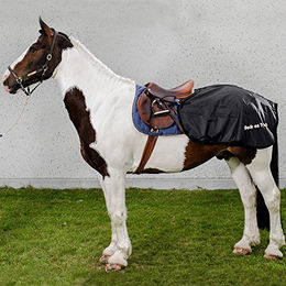 Back on Track Nierendecke Schwarz aus Polyester 155 cm – Bild 1 von 5