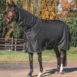 Back on Track Obsidian Outdoordecke für Pferde mit Halsteil Schwarz 300g - 300 g – Bild 1 von 3