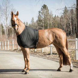 Produktbild von Back on Track Schulterschutz light für Pferde Schwarz 125 cm aus Polyester
