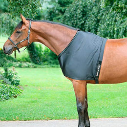 Back on Track Schulterschutz Shoulderguard für Pferde Schwarz Größe 165 – Bild 1 von 3