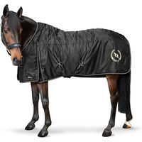 Produktbild von Back on Track Stalldecke Millie aus Wolle in Schwarz 200g - 200 g
