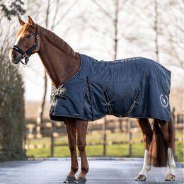 Produktbild von Back on Track Stalldecke Millie Schwarz aus Polyester - 100 g