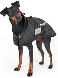 Back on Track Standardmantel Hundedecke Schwarz Größe S (21cm - 40cm) – Bild 1 von 5