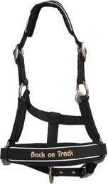 Back on Track Werano Halfter für Ponys aus Nylon mit Reflektoren in Schwarz – Bild 1 von 2