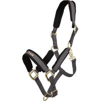 Produktbild von Back on Track Werano Shetty Halfter aus Nylon Grau