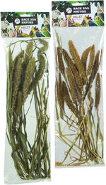 Back Zoo Nature Setaria Kolbenhirse Leckerli für Vögel und Nagetiere 30 Gramm – Bild 1 von 3