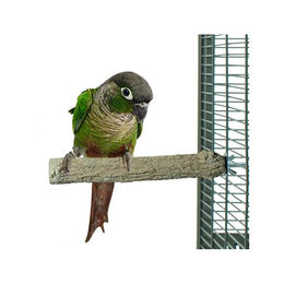 Back Zoo Nature Super Stone Sitzstange für Papageien aus Kunstharz Grau S/M – Bild 1 von 3