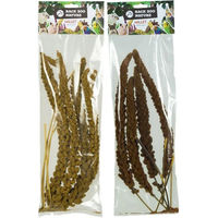 Produktbild von Back Zoo Nature Traubenhirse Kolbenhirse für Vögel und Nager 150 Gramm