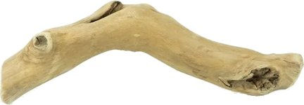 Back Zoo Nature Wolf Wood L – Bild 1 von 1
