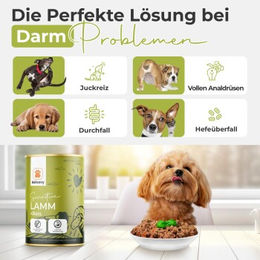 Balloony.pet Hund Nassfutter Sensitive Lamm glutenfrei monoprotein 2,4 kg - 2,4 kg – Bild 1 von 3