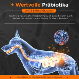 Balloony.pet Hundefutter Sensitive Lamm glutenfrei und monoprotein mit 3 kg - 3 kg – Bild 1 von 2