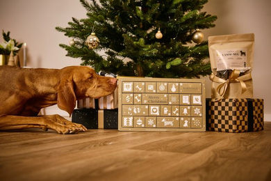 Barfgold Weihnachts-Bundle Mix Lamm und Lachs 6,0 kg – Bild 1 von 1