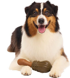 Bark Harry Potter Nimbus 2000 Hundespielzeug – Bild 1 von 1