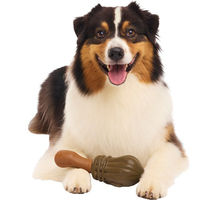 Produktbild von Bark Harry Potter Nimbus 2000 Hundespielzeug