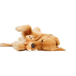 Bark Pearl Plüschspielzeug Eichhörnchen Braun – Bild 1 von 2
