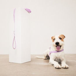 Produktbild von Barkalot Hundegeschirr aus recyceltem Polyester in Lila Größe L