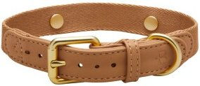 Barkalot Hundehalsband aus Kunstleder beige XL – Bild 1 von 3