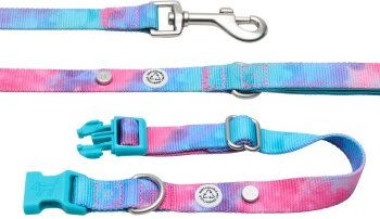 Barkalot Hundehalsband-Auslaufset mit Führleine aus Polyester in Blau Türkis Bunt Größe L – Bild 1 von 3