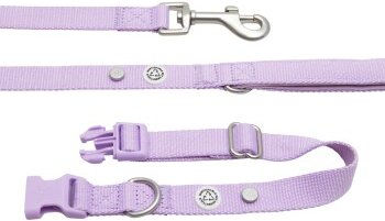 Barkalot Hundehalsband-Auslaufset mit Führleine aus Polyester in Lila Größe M – Bild 1 von 3