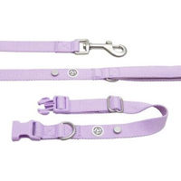 Produktbild von Barkalot Hundehalsband-Auslaufset mit Führleine aus Polyester in Lila Größe M