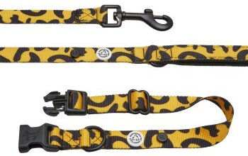 Barkalot Hundehalsband-Auslaufset mit Führleine aus Polyester in Orange Schwarz Größe L – Bild 1 von 3